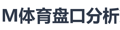 IM体育盘口分析策略
